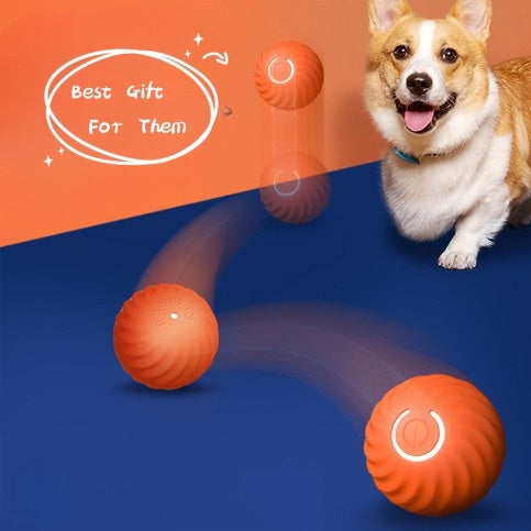 ChewChomp Fun Ball