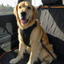 Paw Retreats TravelSafe™ Harness